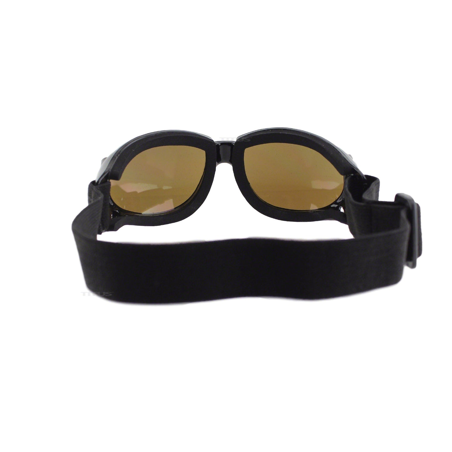 TITUS G10, Padded Sport Goggles, Fixed Band / Z87 Rated